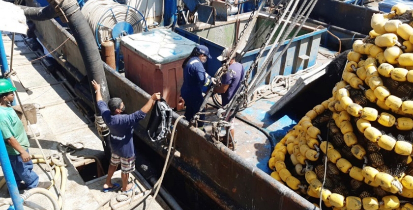 Seeleute erhalten oft keine Löhne Foto: PMA Panama