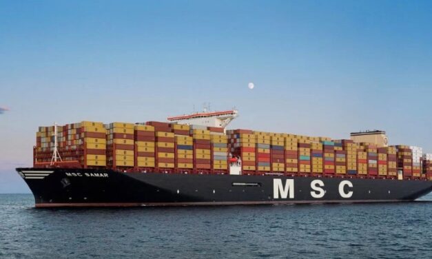 Schweiz - MSC managt als erste Reederei über 900 Schiffe