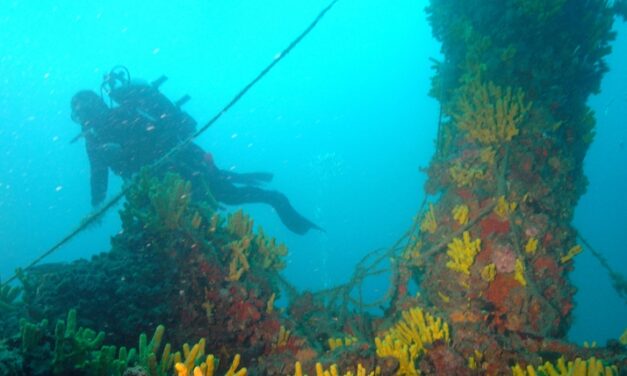 Zeitbomben auf dem Meeresgrund