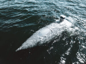 See-Erprobung im Sommer 2025. Foto: EuroAtlas.