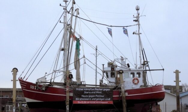 Schutzgemeinschaft Nordseeküste – Krabbenfischerei tut not!