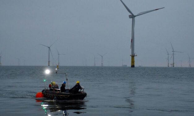 Algen aus dem Offshore-Windpark