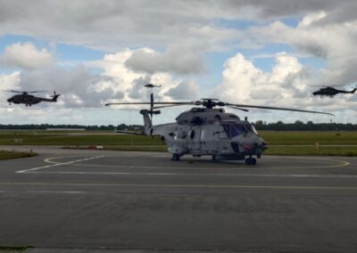 Sea lynx und Sea Lion, Foto: hsc